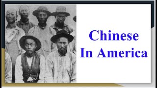 The Chinese in America