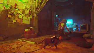 Stray (PC) How to Change FOV settings