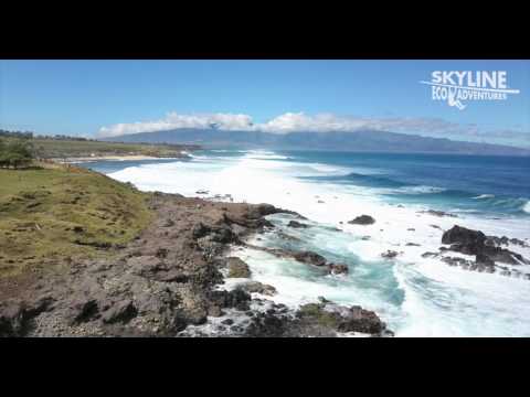 Ho'okipa Beach Maui, Hawaii