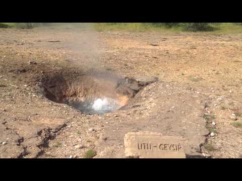 Iceland Litti - Gesir