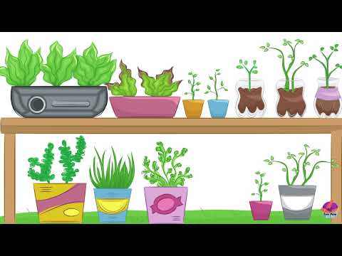 Discover The Wonderful World Of Flower Names 🌸 | 🌼 Fun & Educational For Kids 💐🌻!