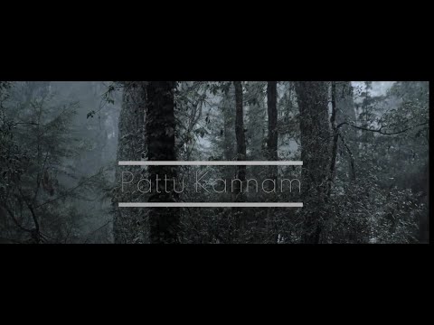 Pattu Kannam (Cover) - Lyrics Video
