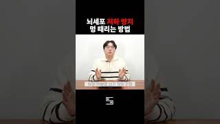 뇌세포 저하방지 멍 때리는 방법 #국립중앙과학관 #뇌과학 #멍