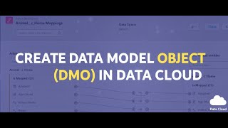 03:CREATE DATA MODEL OBJECT (DMO) IN DATA CLOUD | MAP DATA LAKE OBJECT FIELDS WITH DATA MODEL OBJECT