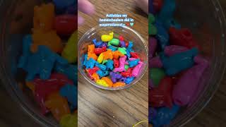 Ocean science for homeschoolers! #homeschool #shorts
