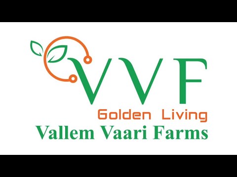 VVF Golden Living model - Initial Thoughts