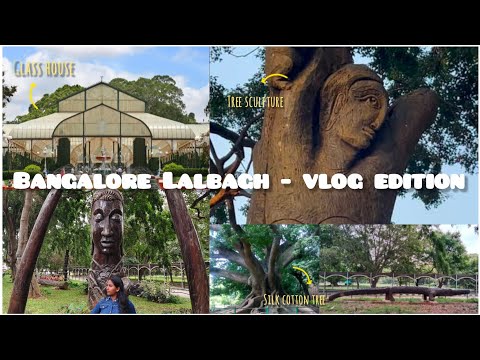 🌼♥️Lalbagh Uncovered | Ever Seen A Garden Like This?🥰 #trending#viral#ohmydayzzz