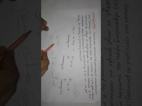 Amine classification