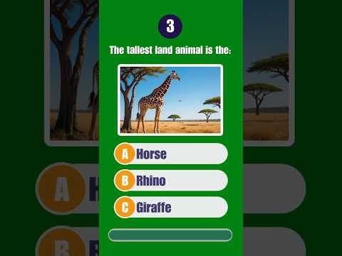 #animalsquizvideo#wildanimals #flyinganimals #familyquiznight animalshabitatquiz