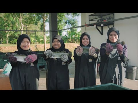 PLKPK | Program Latihan Kemahiran Pertanian Kebangsaan