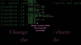 Make Files Undeletable in Linux  | chattr & lsattr Explained! #shorts #tech