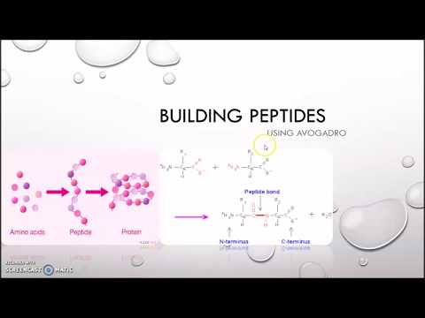 AVOGADRO - 4 (Peptide)