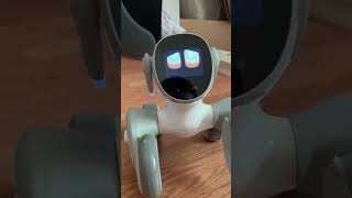 Goodbye Loona - Petrobot #robot #loonapet #unboxing #aipetshow