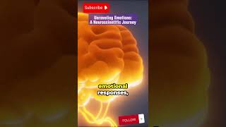 The Science Behind Your Emotions | Neuroscience Explained