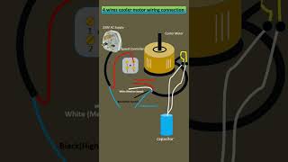 4 wires cooler motor| dessert cooler| #electrical #shorts #shortvideo  #electricalengineering #viral