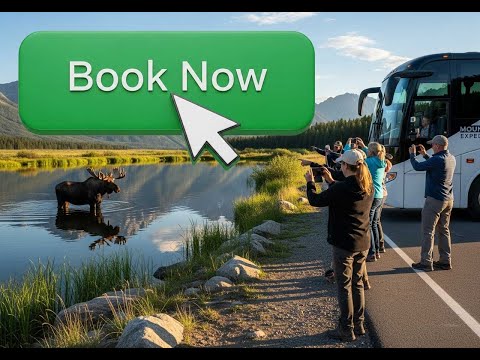 Three Ways to Boost Online Tour Bookings