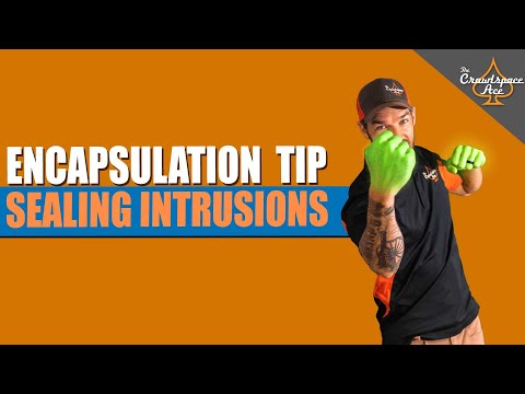 Encapsulation Tip: Seal Intrusions