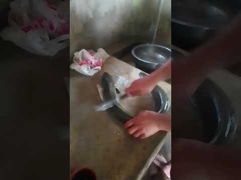 Malaki egat
