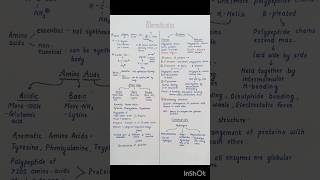Biomolecules Class 12 Chemistry Short Notes