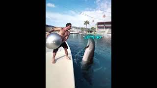 Ronaldo X Dolphin 🐬