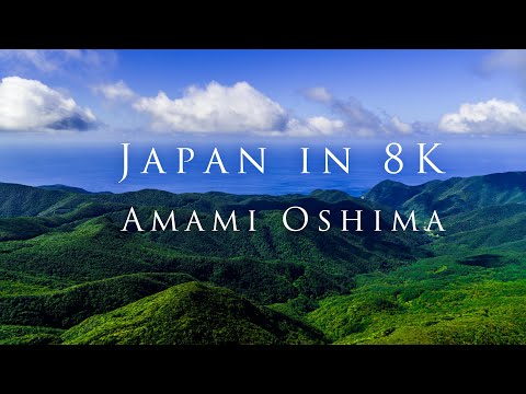Japan in 8K- Amami Oshima (奄美大島 in 8K)