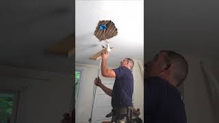 Plaster Repair