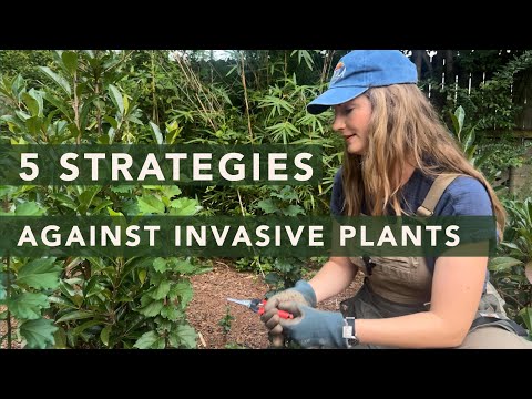 5 Strategies Against Invasive Plants + "The Kiss of Death" Technique