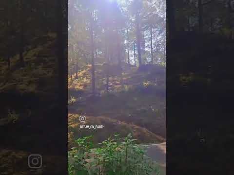 "Chasing sunsets and mountain dreams in the serene hills of Uttarakhand. 🏞️✨ #uttarakhandtourism