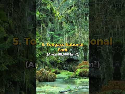 Top 10 LARGEST FOREST in The World.
