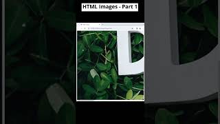 Unleash Your Creativity: HTML Image Tag Mastery! #htmlintroduction #codewithmayur