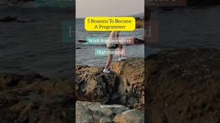 5 Reason To Become A Programmer #codinglove