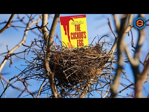 How to Hunt HACKERS for less than a dollar!