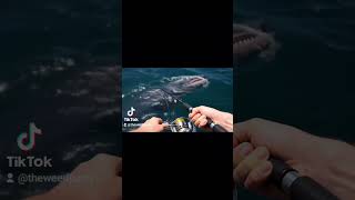 fishing with the Bieber episode 2 prehistoric dolphin lol #idc420bear
