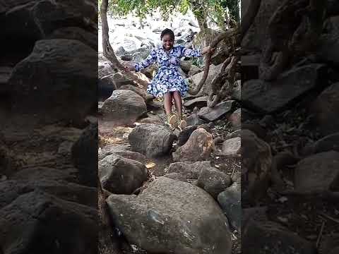 @wildcatwildinginthewild