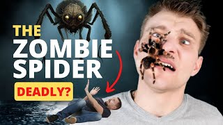Unbelievable Science Experiments! Zombie Spiders Real? #Necrobotics #science