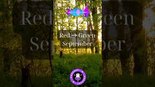 Will #RedSeptember Turn Into #Green? 5 Reasons Bitcoin Could Break Its September Curse in 2025