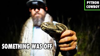 We Caught a Giant Blind Python in the Florida Everglades