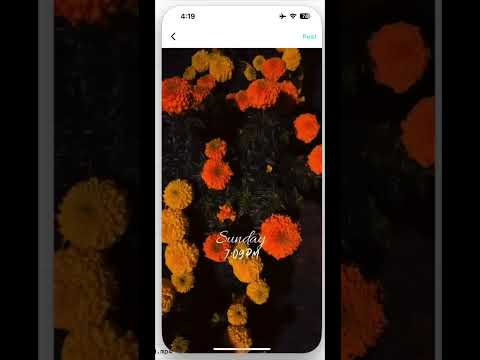 5 Day Video Merge Nightmare in Flutter?