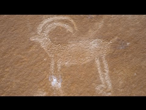 UTAH PETROGLYPHS!