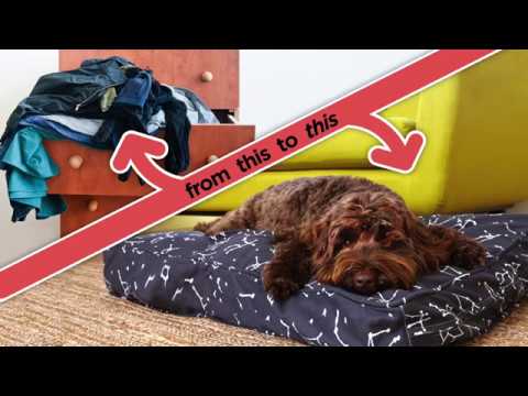 The Molly Mutt Bed is The Dog Bed Dogs Love™