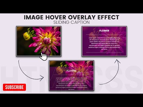 Animated CSS Card Hover Effect Using HTML & CSS | CSS Card Hover Effect | CSS Hover Effect