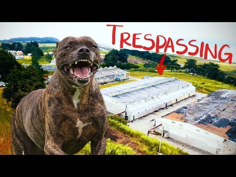 Running From the Police and a Pit Bull!!