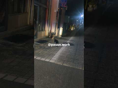 #RenovatedOnsen #MatsumotoTrip #JapaneseSpa #RelaxTime #TravelSlowly#リノベ温泉 #松本旅 #温泉時間 #癒しの休日