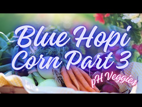 Two Months Later BHC!