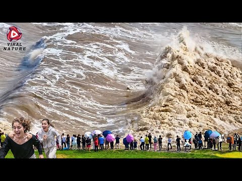 One in a Billion Moments in Nature - Best of 2025 #71