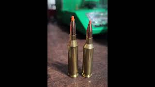 243 winchester vs 6mm Creedmoor