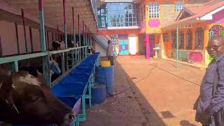 Be Your Own Boss Agriculture and Livestock// Benchmark Trip Day One// Farm Three: Sampal Dairy Farm