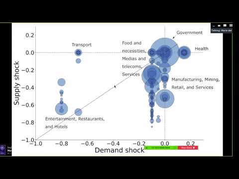 R. Maria del Rio-Chanona - Supply and demand shocks: An industry and occupation perspective