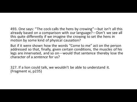 Wittgenstein on consciousness 3