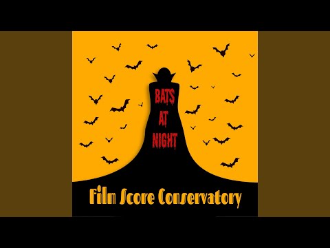 Bats at Night